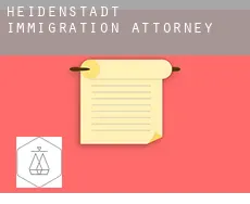 Heidenstadt  immigration attorney