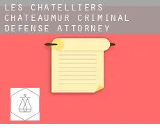 Les Châtelliers-Châteaumur  criminal defense attorney