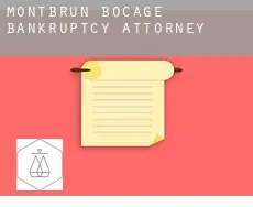 Montbrun-Bocage  bankruptcy attorney