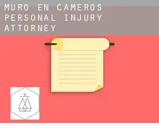 Muro en Cameros  personal injury attorney