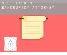 Neu Teterin bankruptcy attorney