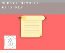 Nousty  divorce attorney
