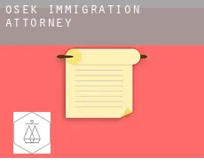 Osek  immigration attorney