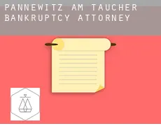 Pannewitz am Taucher  bankruptcy attorney