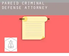 Pareid  criminal defense attorney