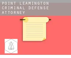 Point Leamington  criminal defense attorney