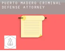 Puerto Madero  criminal defense attorney