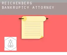 Reichenberg  bankruptcy attorney