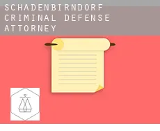 Schadenbirndorf  criminal defense attorney
