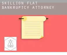 Skillion Flat  bankruptcy attorney