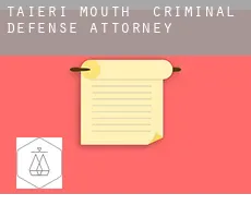 Taieri Mouth  criminal defense attorney