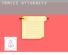 Trmice  attorneys
