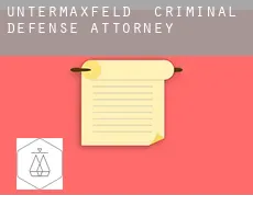 Untermaxfeld  criminal defense attorney