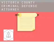 Victoria County  criminal defense attorney