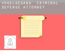 Vogelgesang  criminal defense attorney