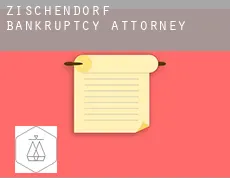 Zischendorf  bankruptcy attorney