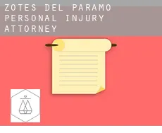 Zotes del Páramo  personal injury attorney