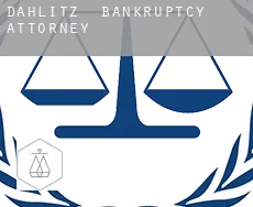 Dahlitz  bankruptcy attorney