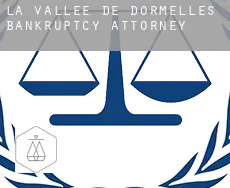 La Vallée de Dormelles  bankruptcy attorney