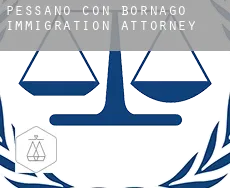 Pessano con Bornago  immigration attorney