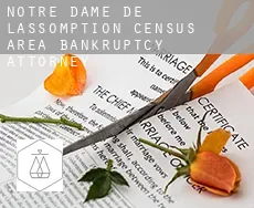 Notre-Dame-de-l'Assomption (census area)  bankruptcy attorney