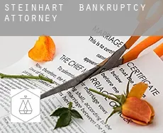 Steinhart  bankruptcy attorney