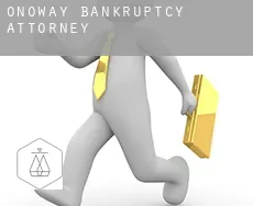 Onoway  bankruptcy attorney