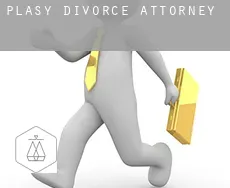 Plasy  divorce attorney