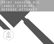Saint-Sauveur-des-Landes criminal defense attorney