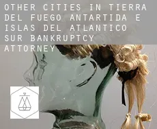 Other cities in Tierra del Fuego, Antartida e Islas del Atlantico Sur  bankruptcy attorney