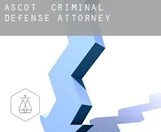 Ascot  criminal defense attorney