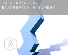 Im Sirrenberg  bankruptcy attorney