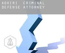 Kokiri  criminal defense attorney