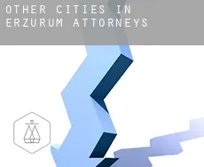 Other cities in Erzurum  attorneys