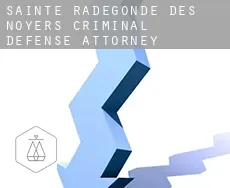 Sainte-Radégonde-des-Noyers  criminal defense attorney