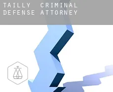 Tailly  criminal defense attorney