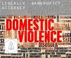 Liscally  bankruptcy attorney