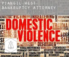 Piangil West  bankruptcy attorney